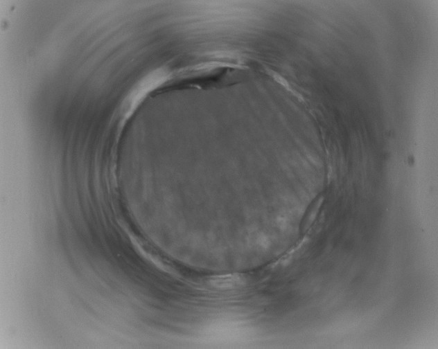 X0000071780050200607282248