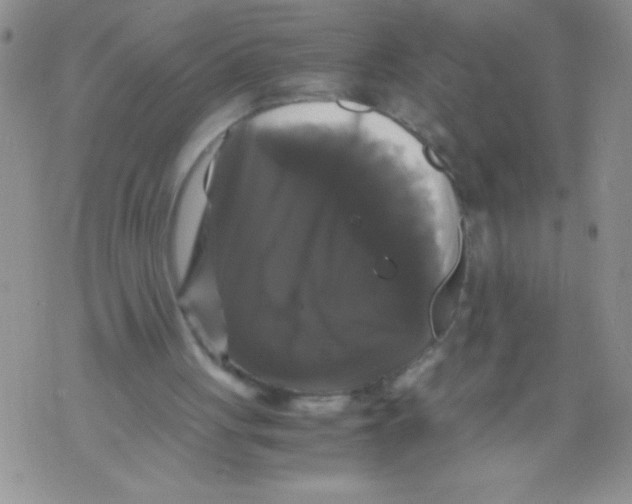 X0000071780051200607282248