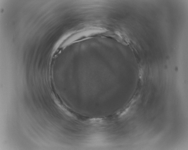 X0000071780052200607282248