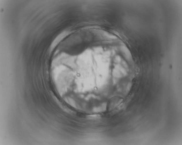 X0000071780053200607282248