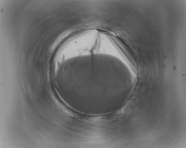 X0000071780054200607282248