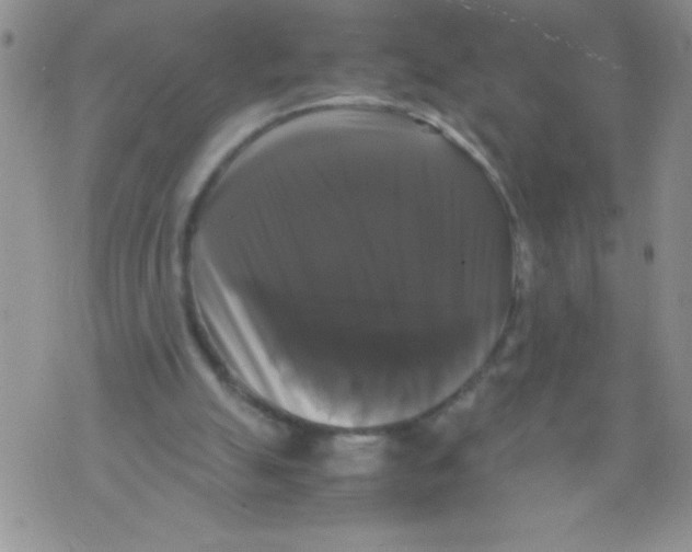 X0000071780055200607282248