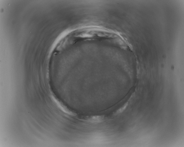 X0000071780056200607282248