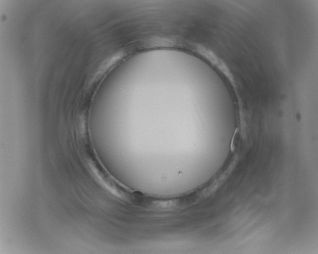 X0000071780057200607282248