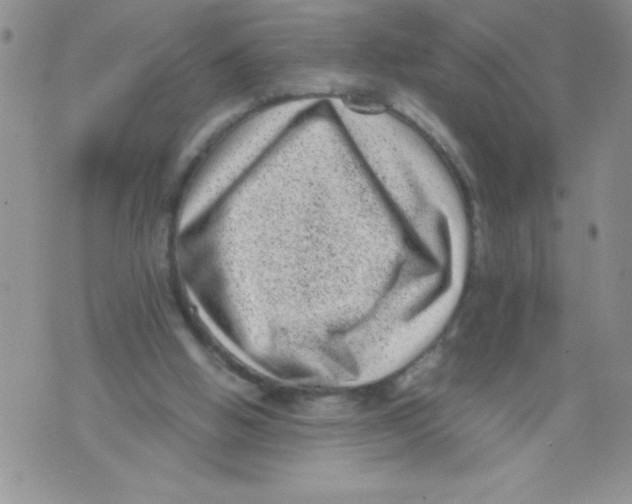 X0000071780058200607282248