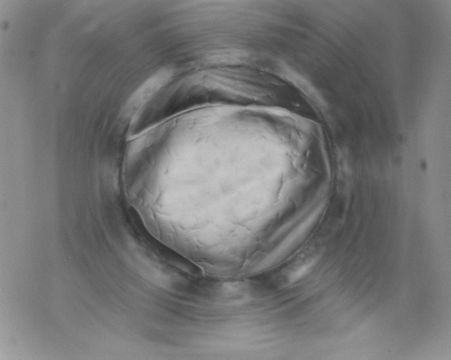 X0000071780060200607282248