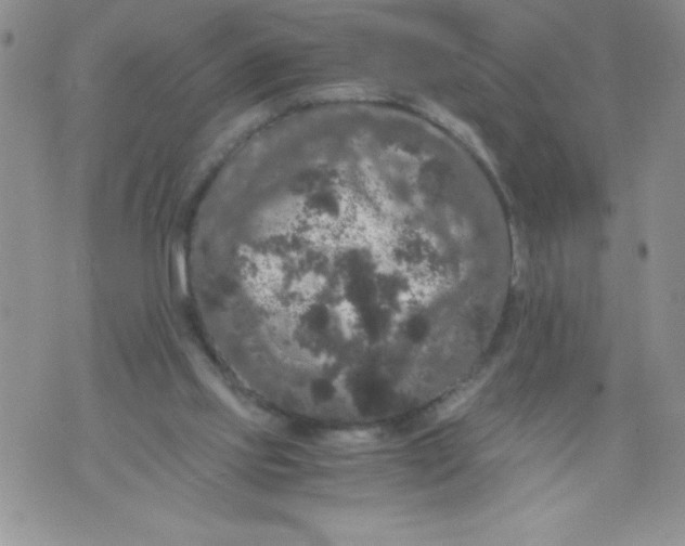 X0000071780061200607282248