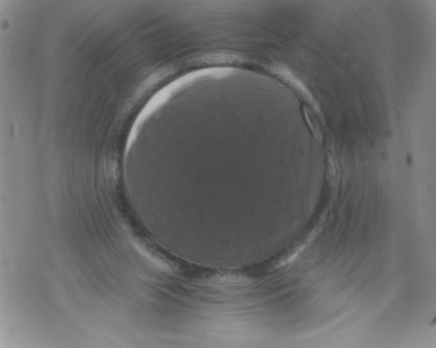 X0000071780063200607282248