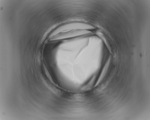 X0000071780064200607282248