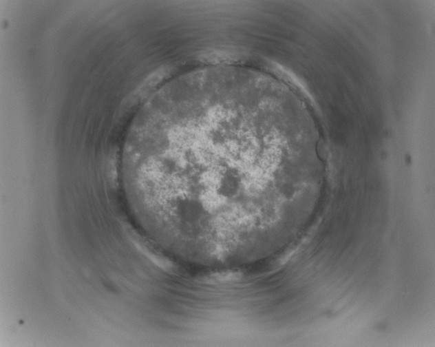 X0000071780065200607282248