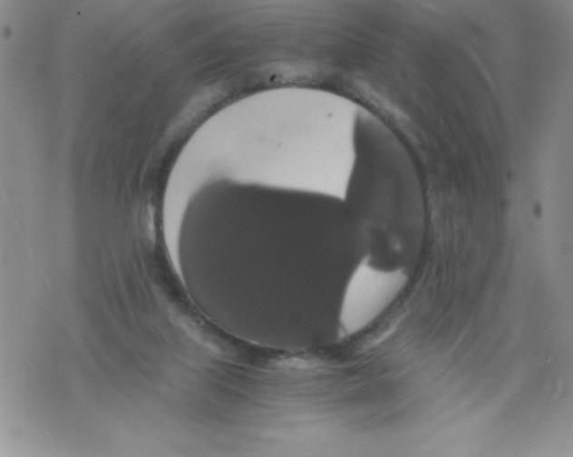 X0000071780067200607282248