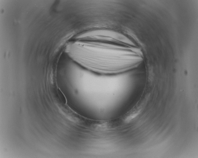 X0000071780068200607282248