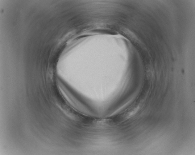 X0000071780072200607282248