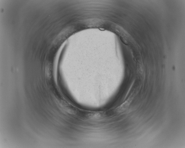 X0000071780074200607282248