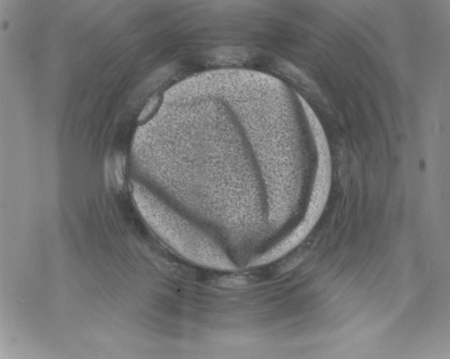 X0000071780075200607282248