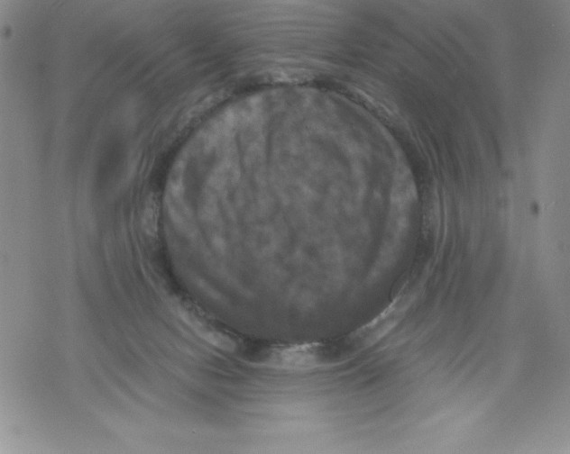 X0000071780078200607282248