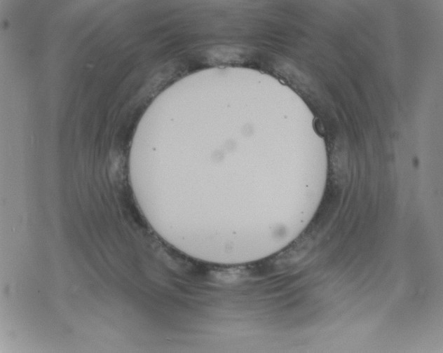 X0000071780079200607282248