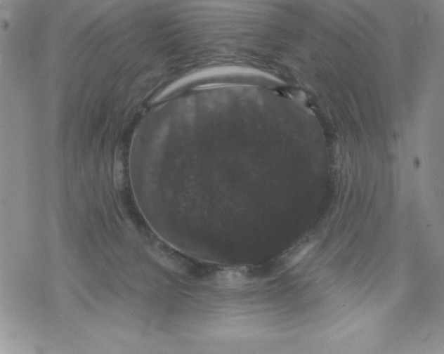 X0000071780080200607282248