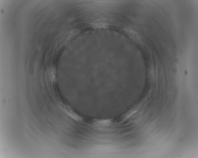 X0000071780081200607282248