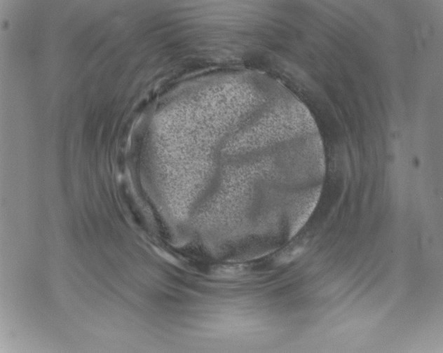 X0000071780084200607282248