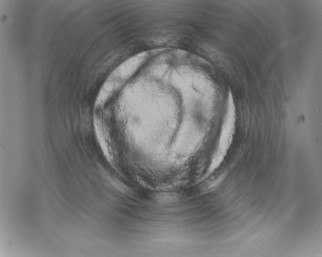 X0000071780085200607282248