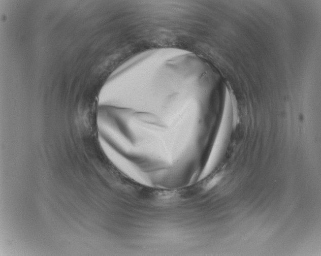 X0000071780088200607282249