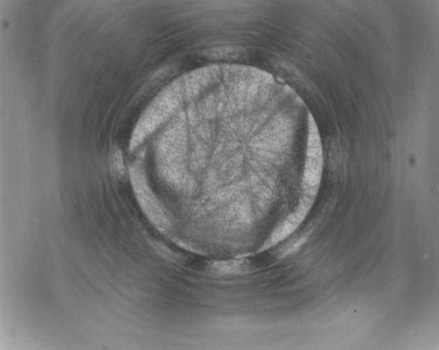 X0000071780089200607282249