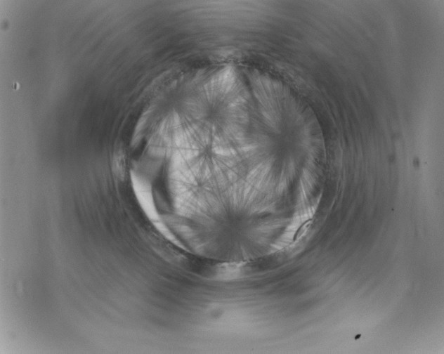 X0000071780090200607282249