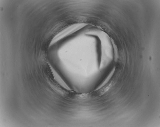 X0000071780092200607282249