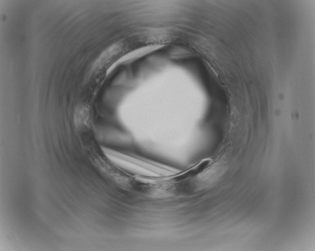 X0000071780096200607282249