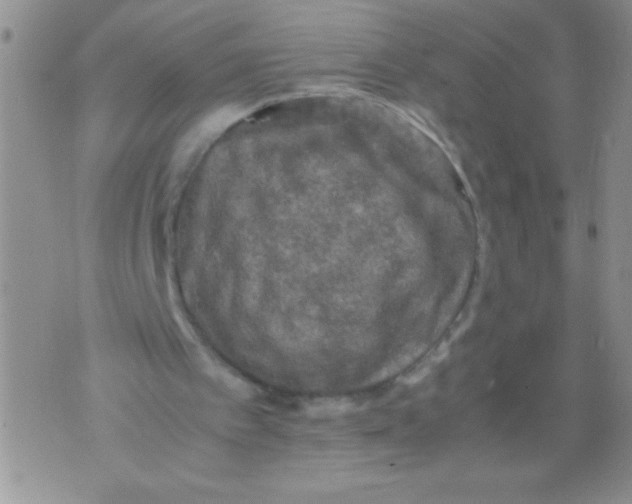 X0000071780097200607282248