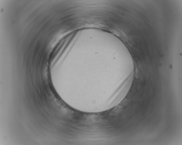 X0000071780098200607282248