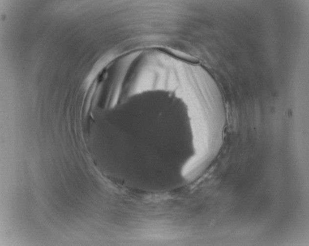 X0000071780099200607282248