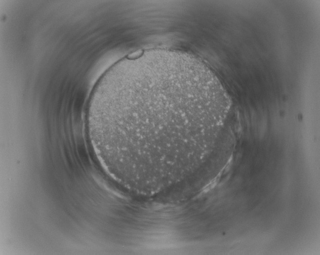 X0000071780100200607282248