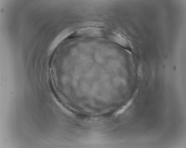 X0000071780101200607282248