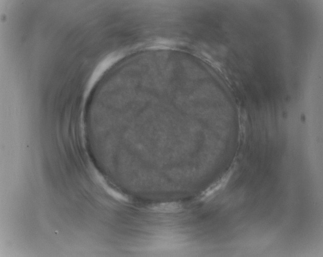 X0000071780102200607282248