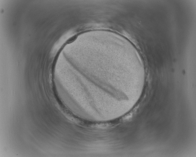 X0000071780103200607282248