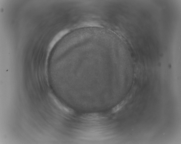 X0000071780104200607282248