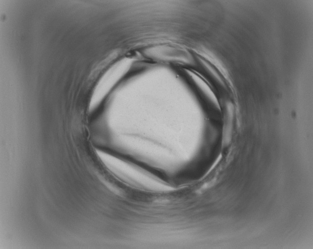 X0000071780105200607282248