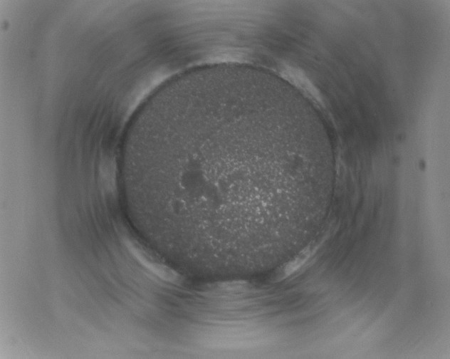 X0000071780108200607282248