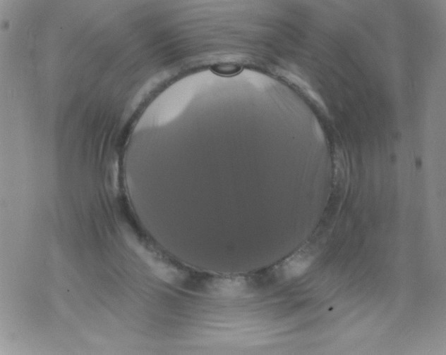 X0000071780110200607282248