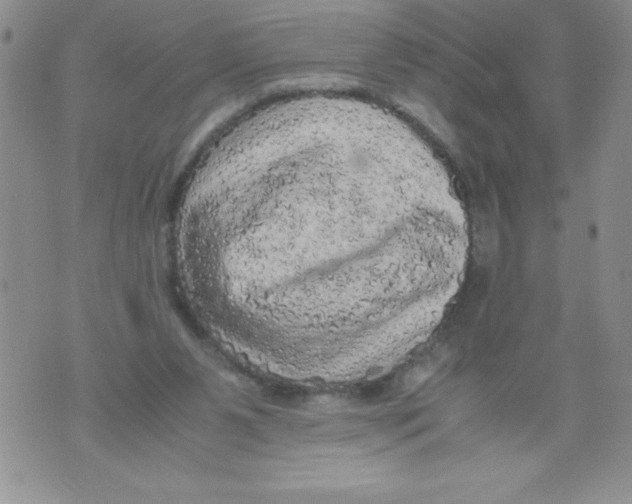 X0000071780111200607282248