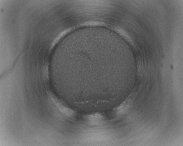 X0000071780112200607282248