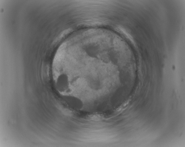 X0000071780115200607282248