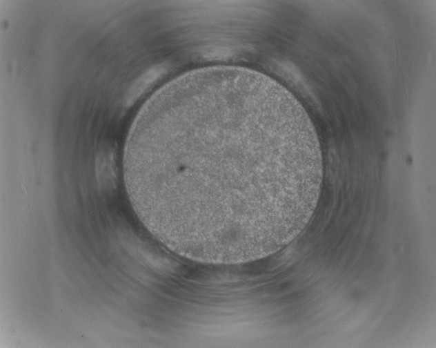 X0000071780116200607282248