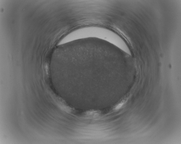 X0000071780117200607282248