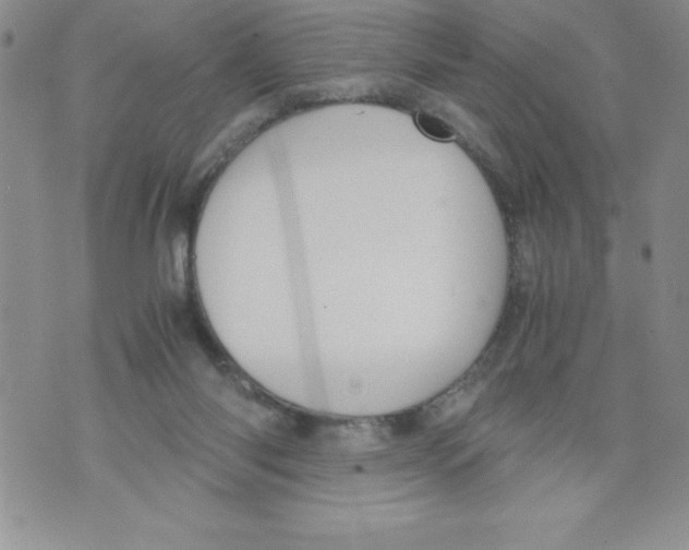 X0000071780118200607282248