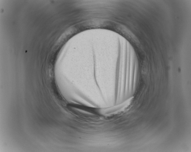 X0000071780119200607282248