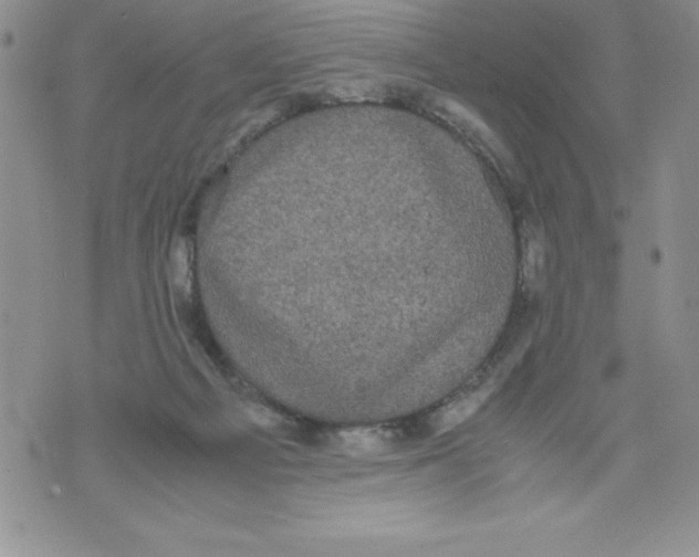 X0000071780121200607282247