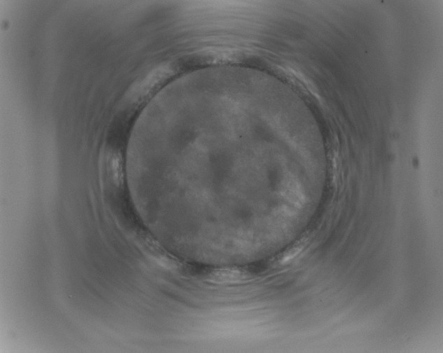 X0000071780123200607282247